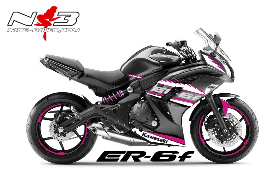 ER-6F Final Edition pink