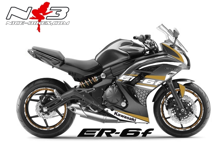ER6F Race Style gold